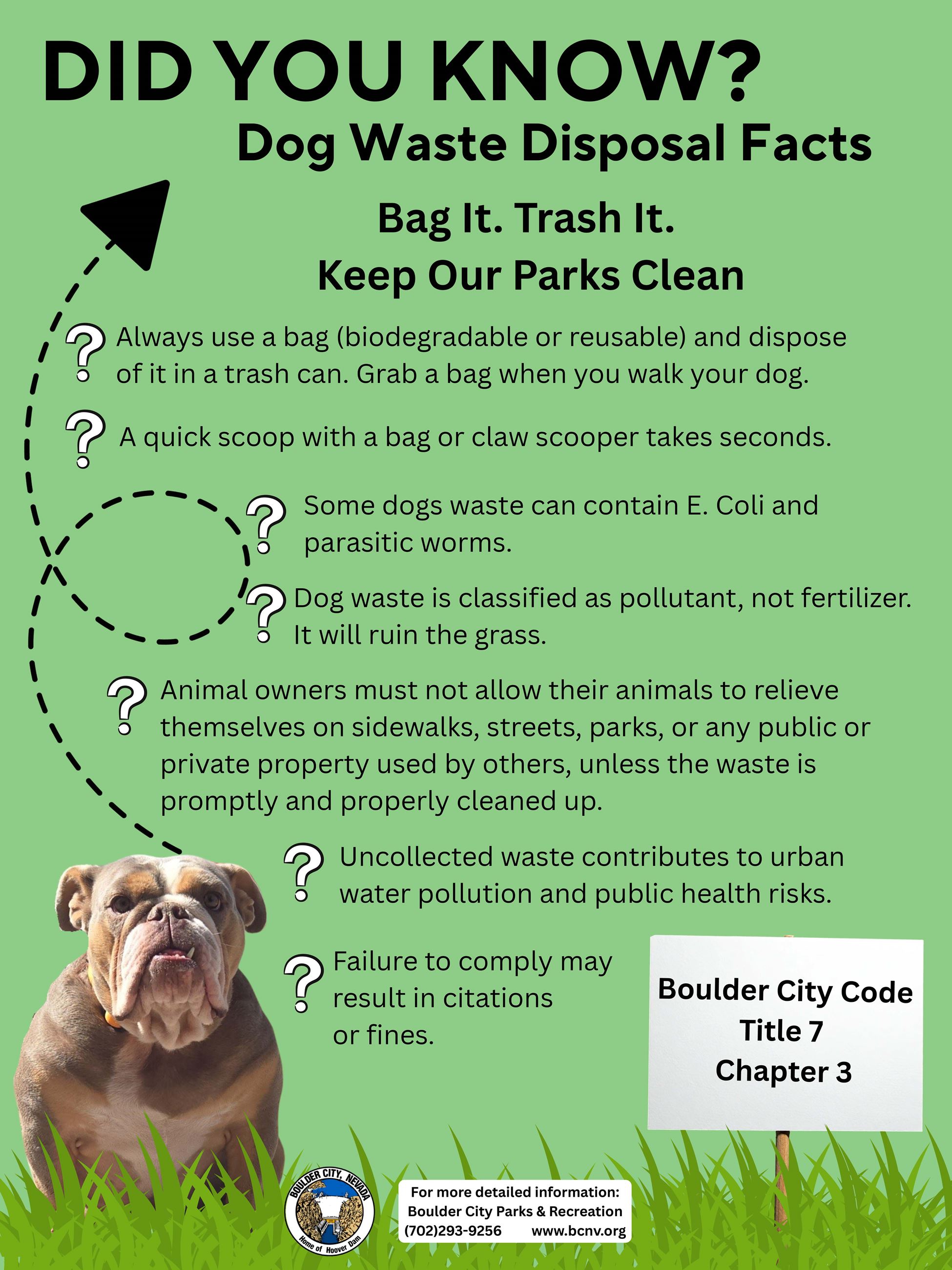 Bag IT. Trash It. Dog Waste Flyer